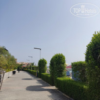 фото из отзыва ID 2303929