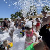 фото из отзыва ID 2303974