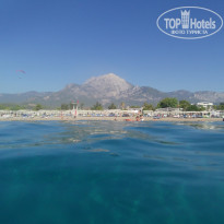 фото из отзыва ID 2304022