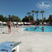 фото из отзыва ID 2304038