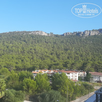 фото из отзыва ID 2304145