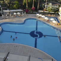 фото из отзыва ID 2304161