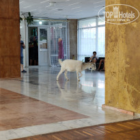 фото из отзыва ID 2304182