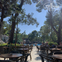 фото из отзыва ID 2304207