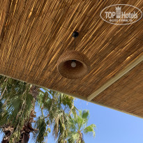 фото из отзыва ID 2304207