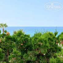 фото из отзыва ID 2304171