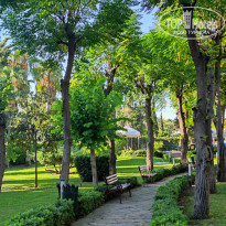 фото из отзыва ID 2304285