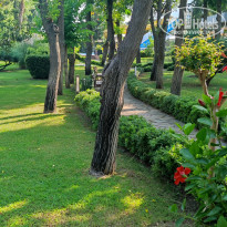 фото из отзыва ID 2304285