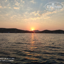 фото из отзыва ID 2304294