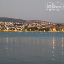 фото из отзыва ID 2304294