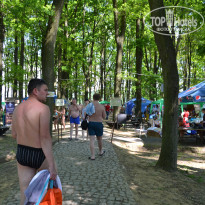 фото из отзыва ID 2304320