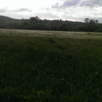 фото из отзыва ID 2304320