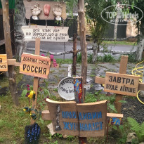 фото из отзыва ID 2304320