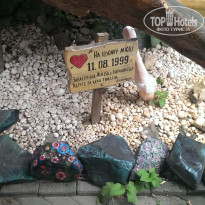 фото из отзыва ID 2304320