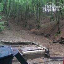 фото из отзыва ID 2304320