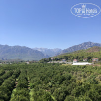 фото из отзыва ID 2304452