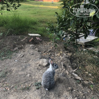 фото из отзыва ID 2304452