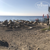 фото из отзыва ID 2304452