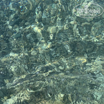 фото из отзыва ID 2304804