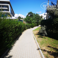 фото из отзыва ID 2304820