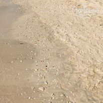 фото из отзыва ID 2304834