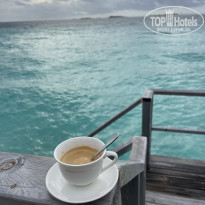 фото из отзыва ID 2304876