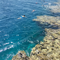 фото из отзыва ID 2304990