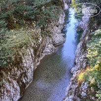 фото из отзыва ID 2305090