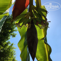 фото из отзыва ID 2305101