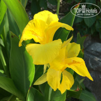 фото из отзыва ID 2305101
