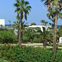 фото из отзыва ID 2305111