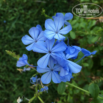 фото из отзыва ID 2305101