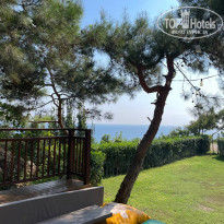 фото из отзыва ID 2305117