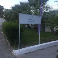 фото из отзыва ID 2305161