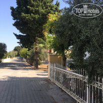 фото из отзыва ID 2305161