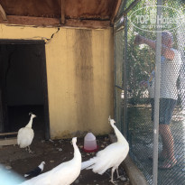 фото из отзыва ID 2305161