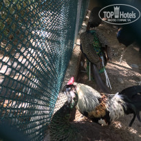 фото из отзыва ID 2305161