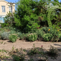 фото из отзыва ID 2303448