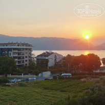 фото из отзыва ID 2305182