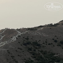 фото из отзыва ID 2305279