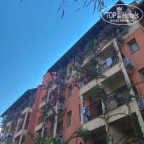 фото из отзыва ID 2305304