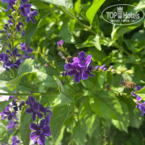 фото из отзыва ID 2305304