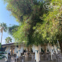 фото из отзыва ID 2305304