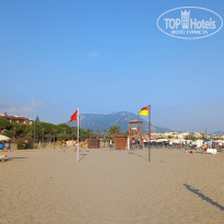 фото из отзыва ID 2305375