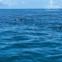 фото из отзыва ID 2305427