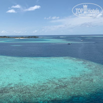 фото из отзыва ID 2305427