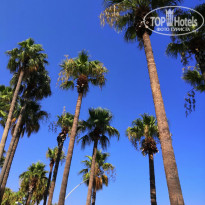 фото из отзыва ID 2305430