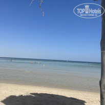 фото из отзыва ID 2305470