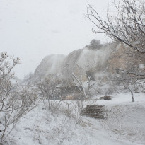 фото из отзыва ID 2305511