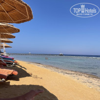 фото из отзыва ID 2305605